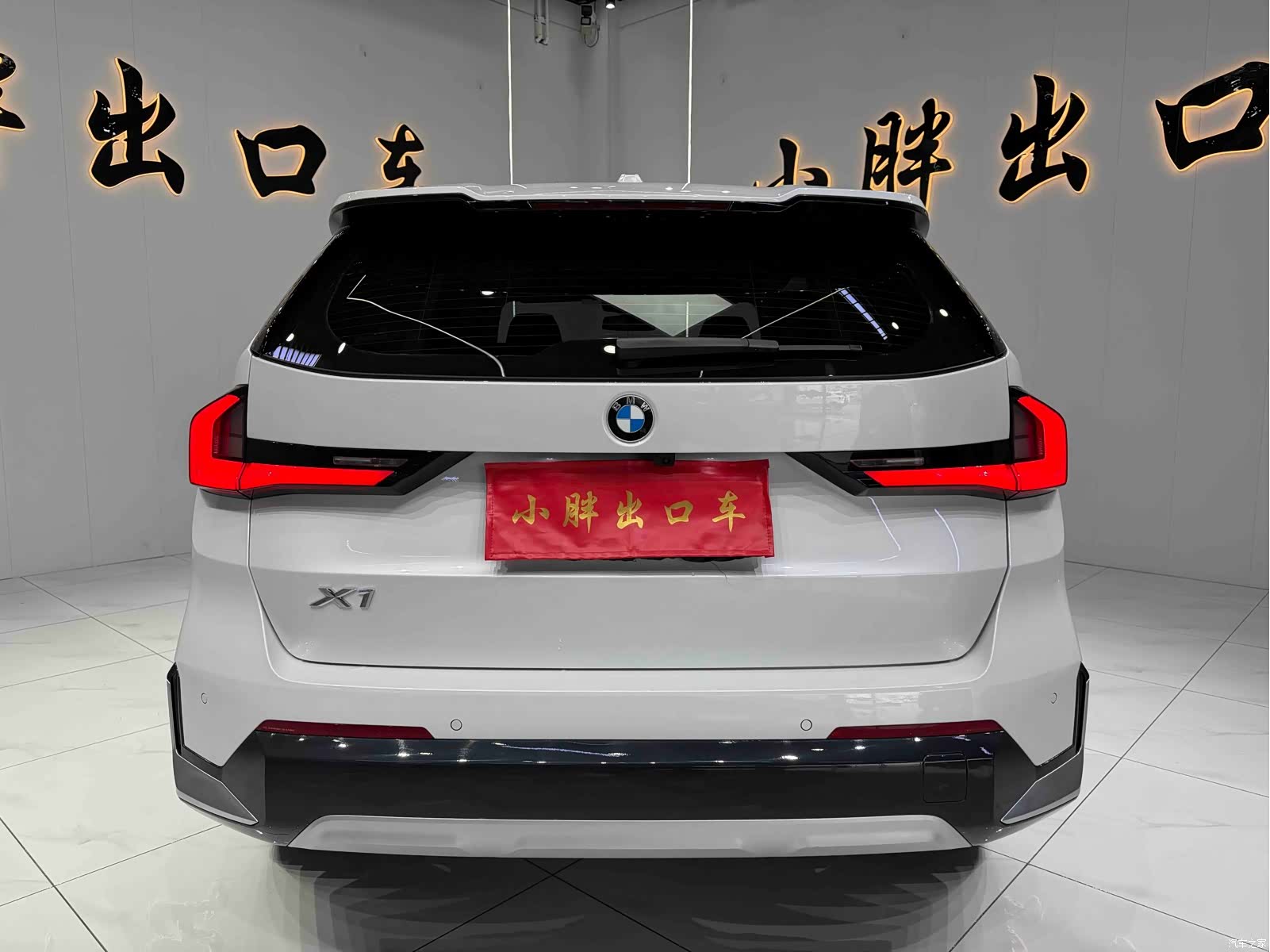 BMW X1, 2023 все фото