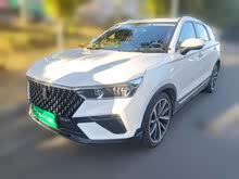 ����T77 2019�� 230 TID �Զ������� ��V