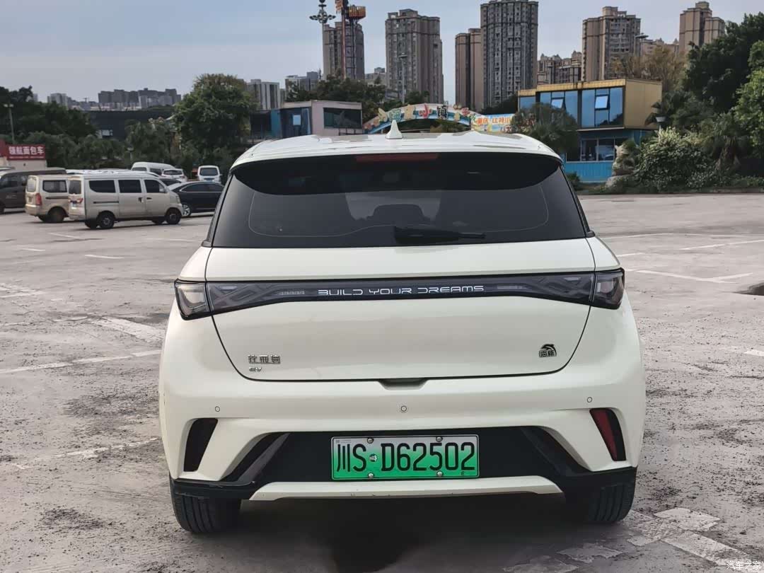 BYD Dolphin, 2024 4