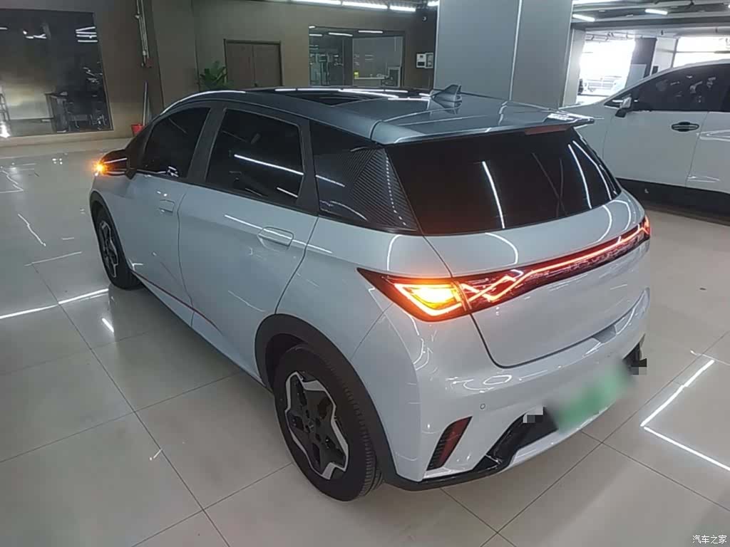 BYD Dolphin, 2022 все фото