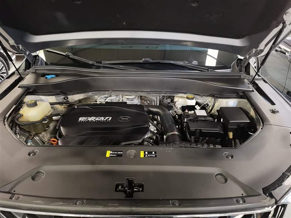 Trumpchi Trumpchi GS8