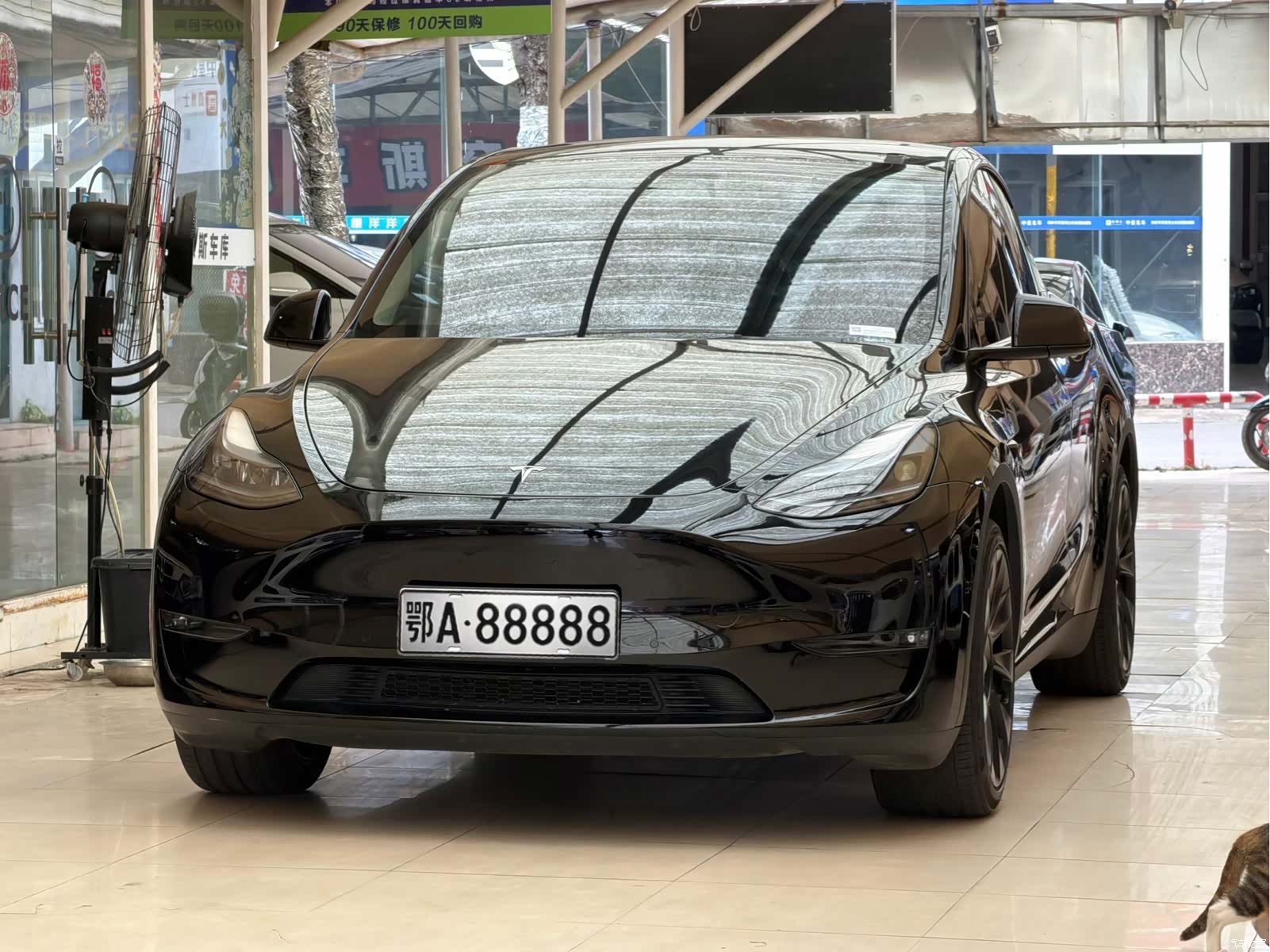 Tesla Model Y, 2023 1