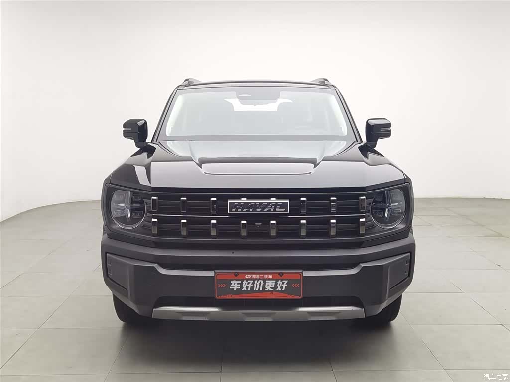 Haval Cool Dog, 2023 3