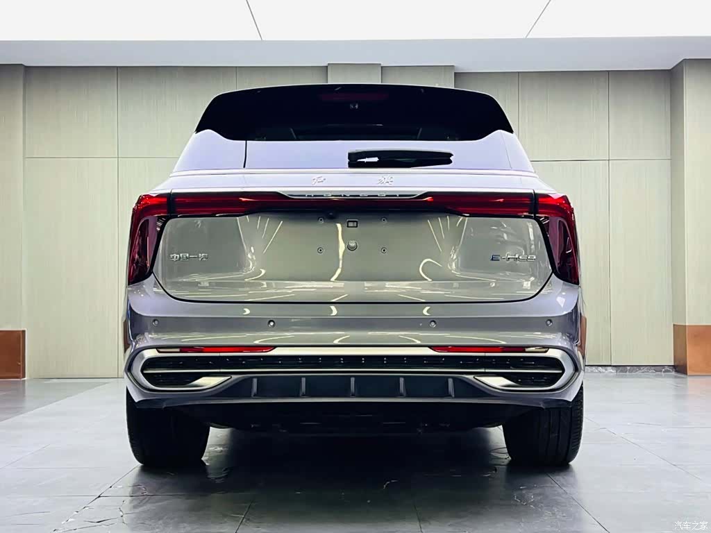 Hongqi E-HS9, 2023 все фото