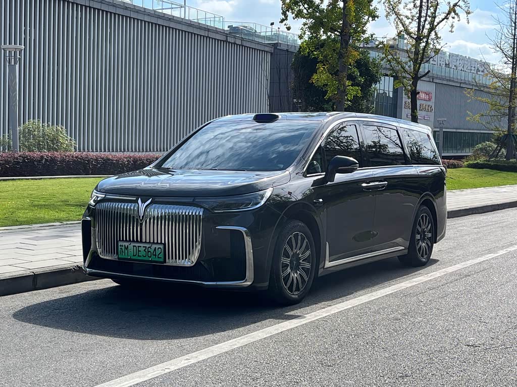 Voyah 2025 EV