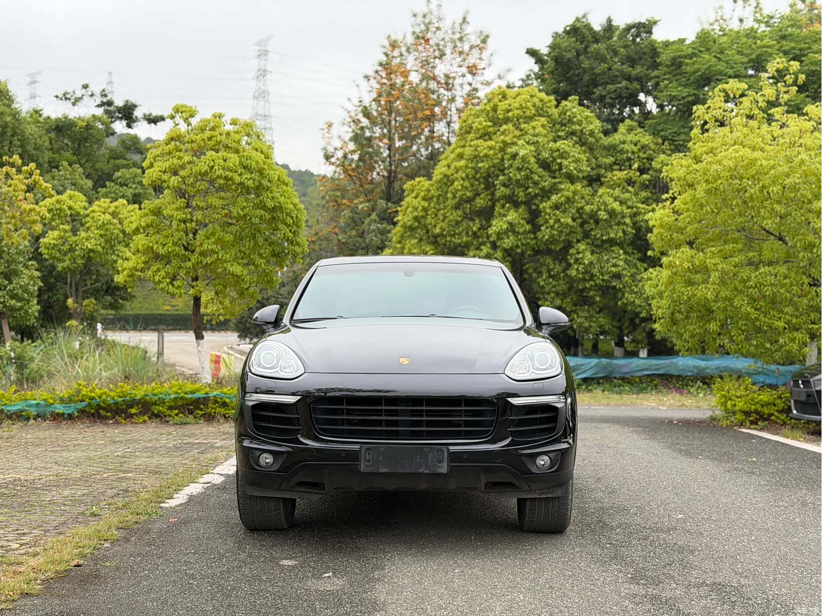 Cayenne Platinum, 2017 2