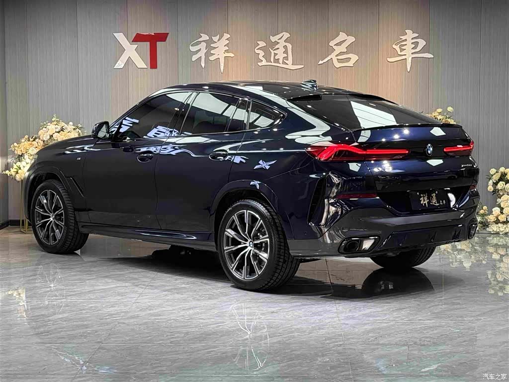 BMW X6, 2023 20