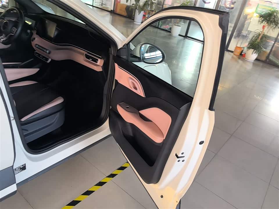 BYD Seagull