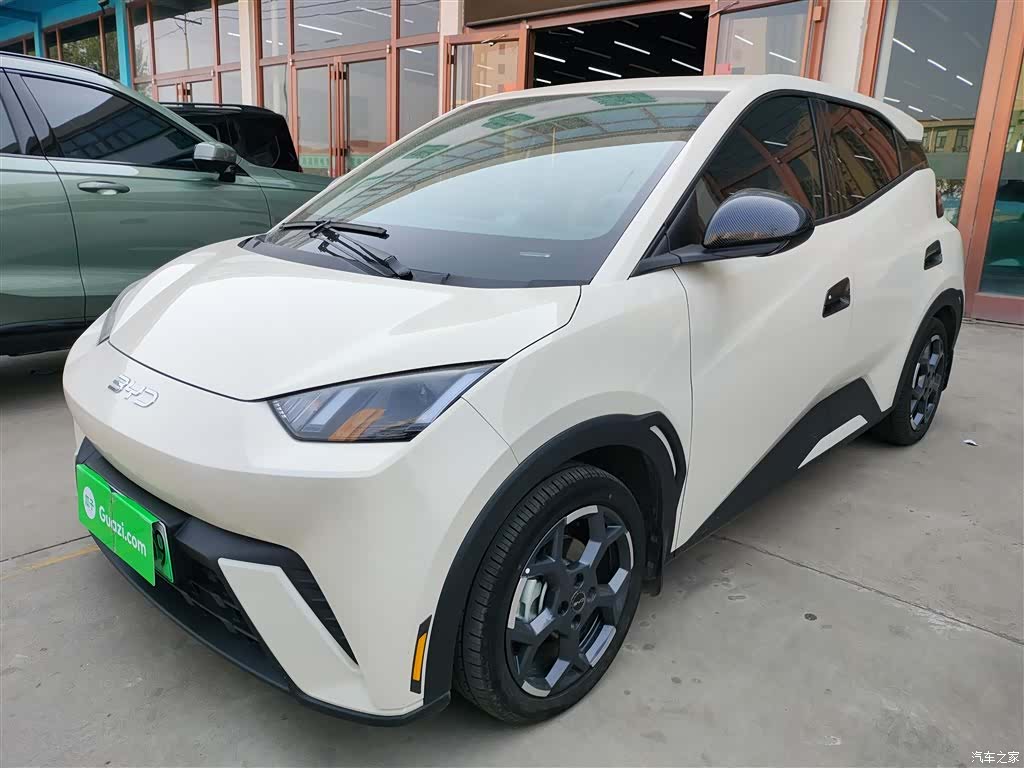 BYD Seagull, 2025 1