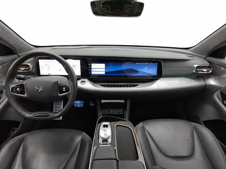 ARCFOX Polar Fox Alpha S