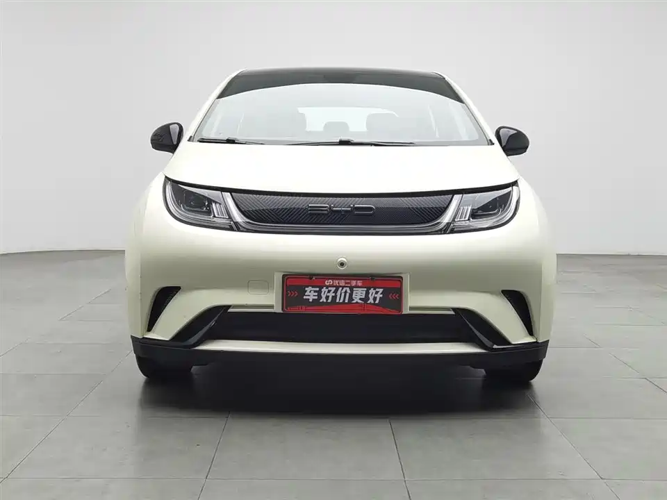 BYD dolphin