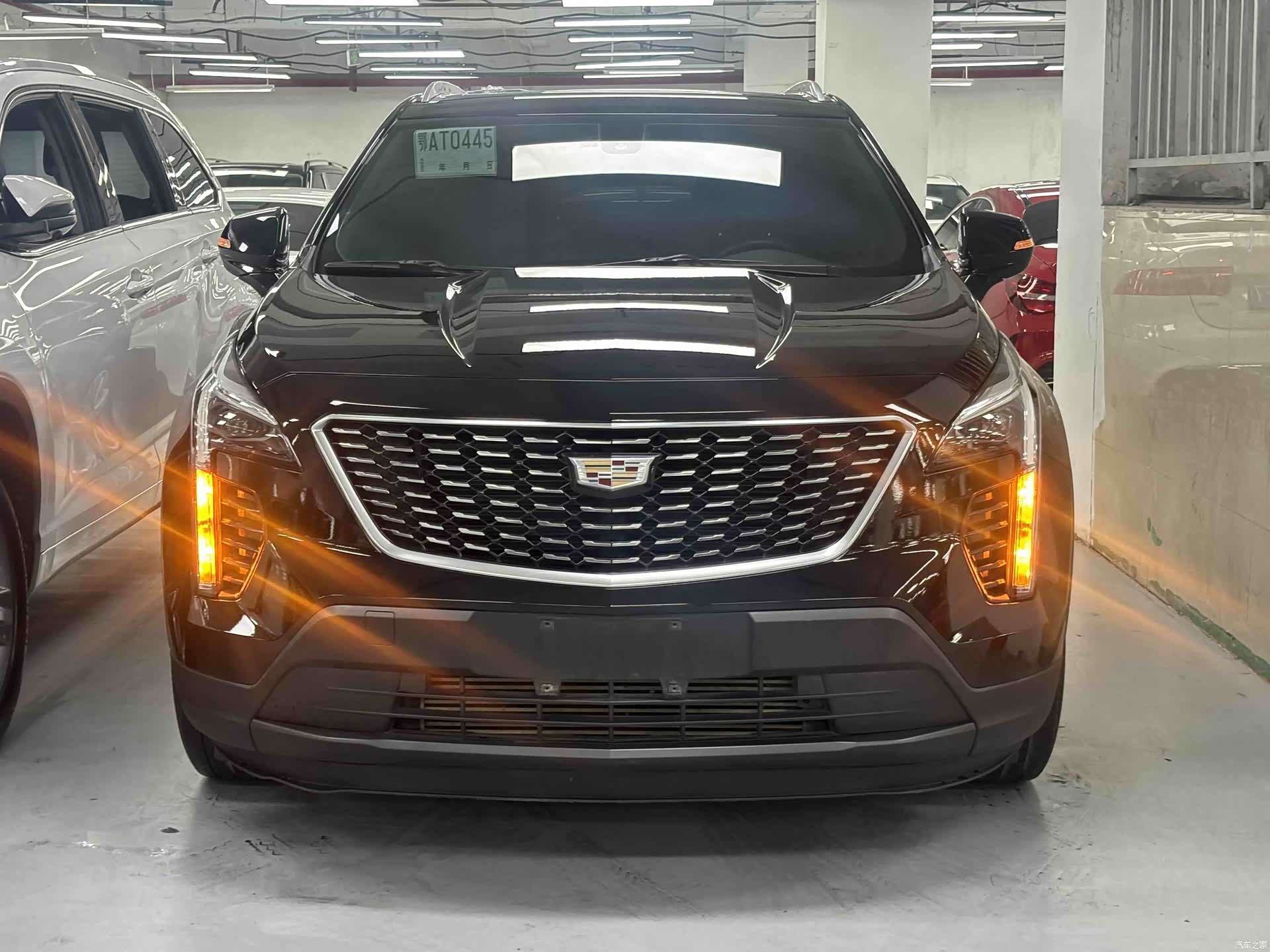 Cadillac XT4, 2023 2