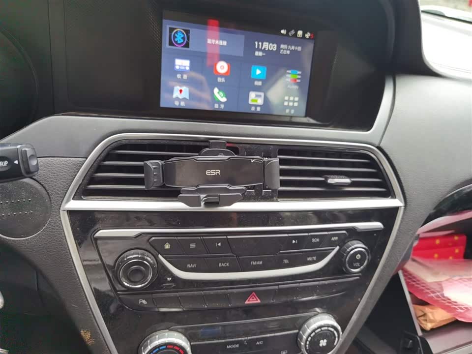 Leopaard Cheetah CS10