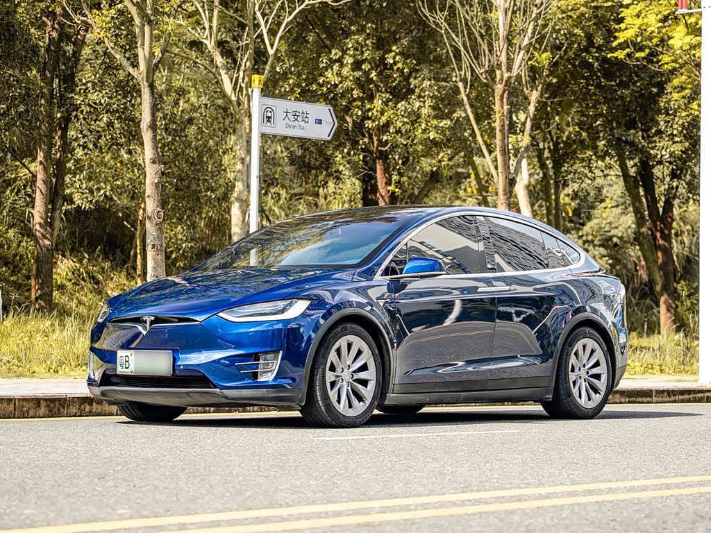Tesla Model X 2017 Model X 100D