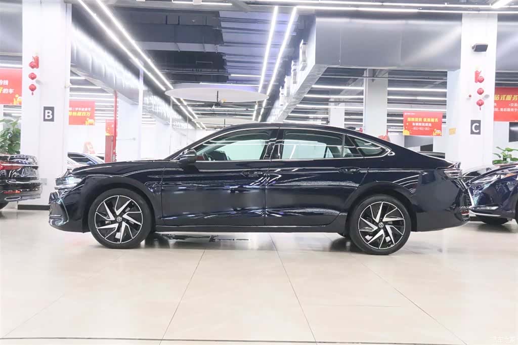 Volkswagen Magotan, 2024 3