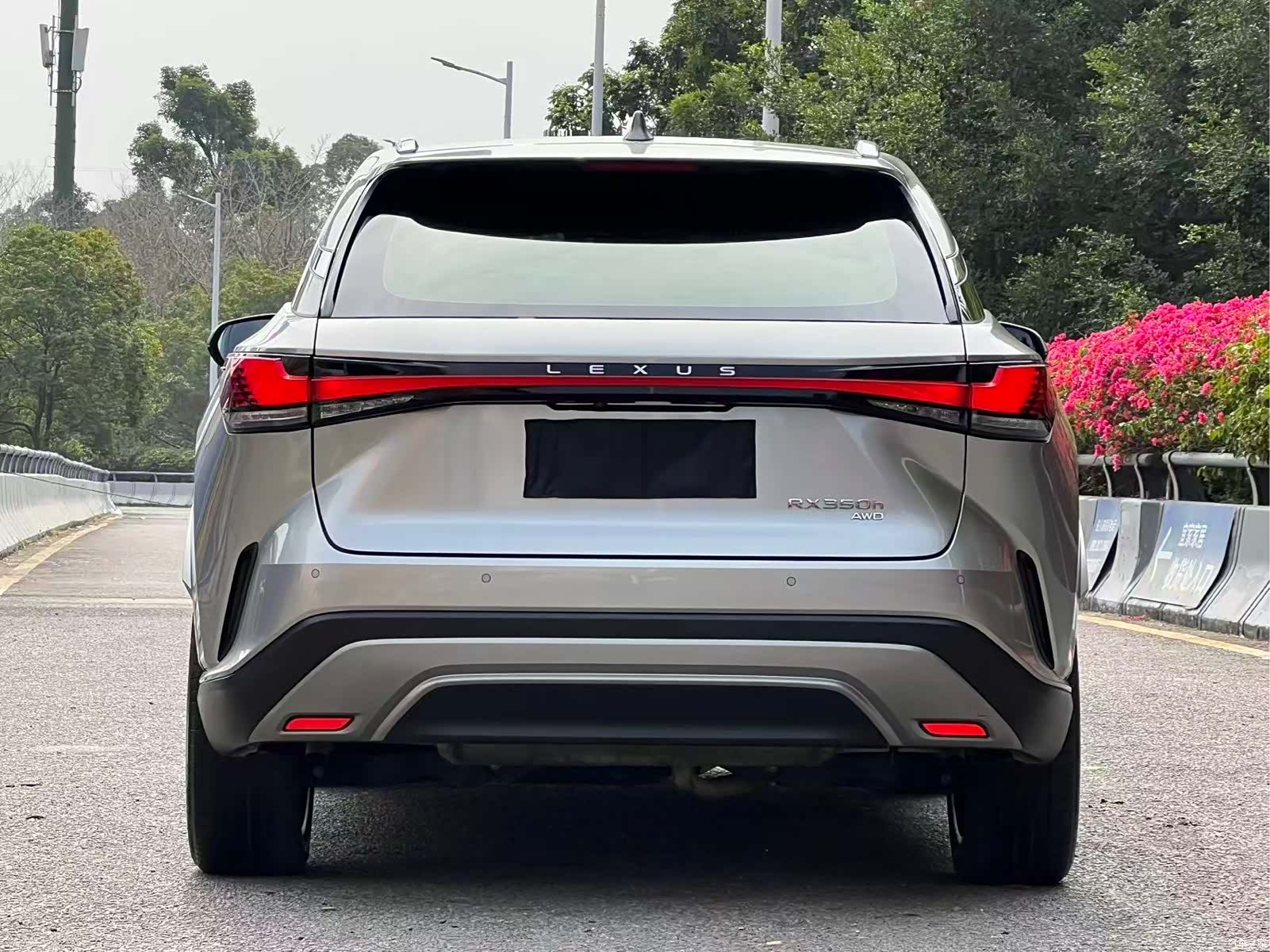 Lexus RX, 2023 18
