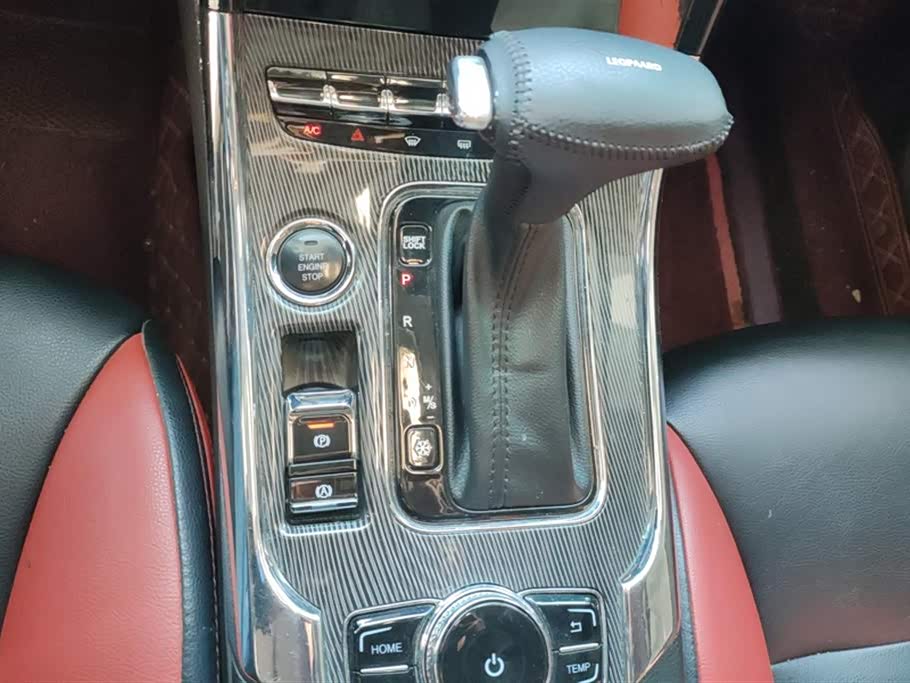 Leopaard Cheetah CS9