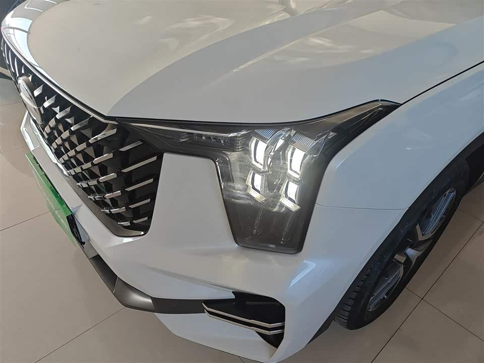 Trumpchi Trumpchi GS8