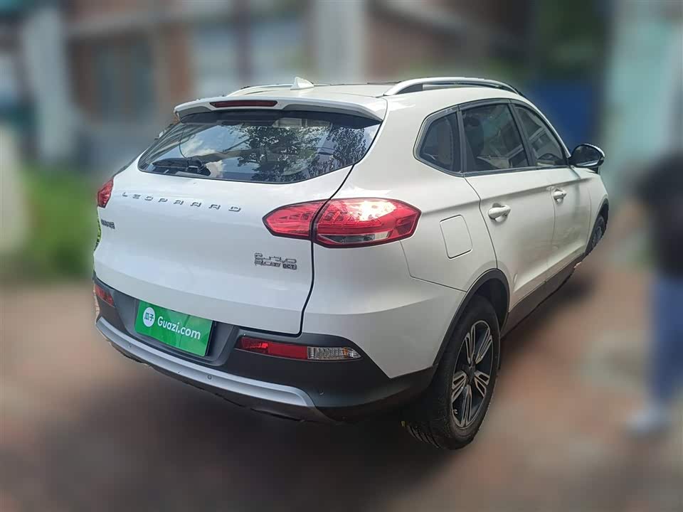 Leopaard Cheetah CS10