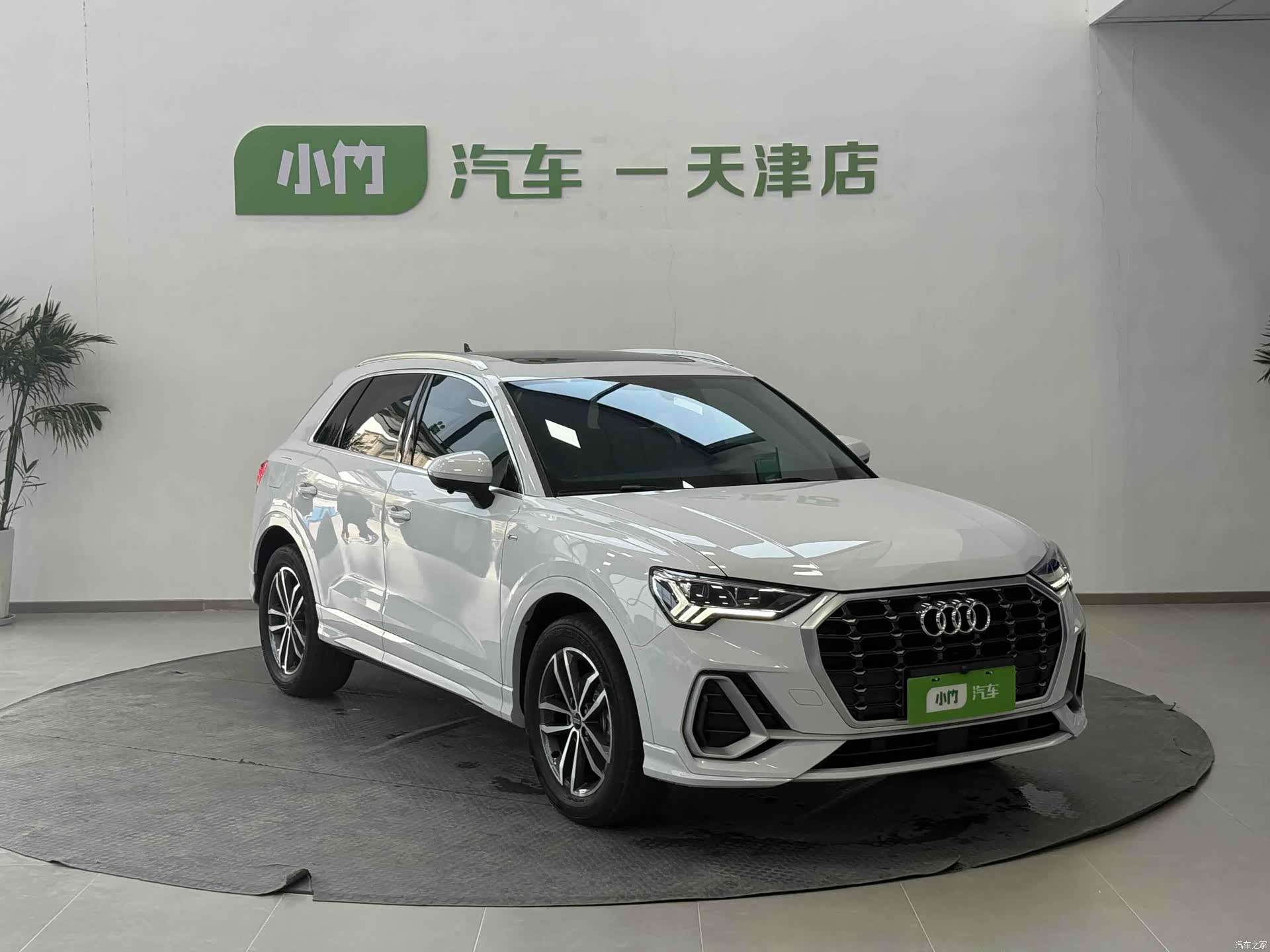 Audi Q3, 2023 все фото