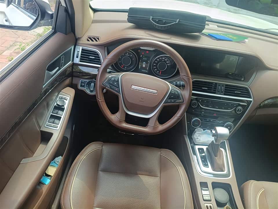 Leopaard Cheetah CS10