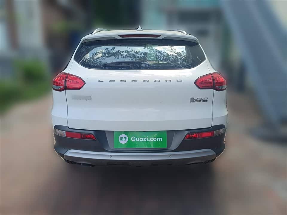 Leopaard Cheetah CS10