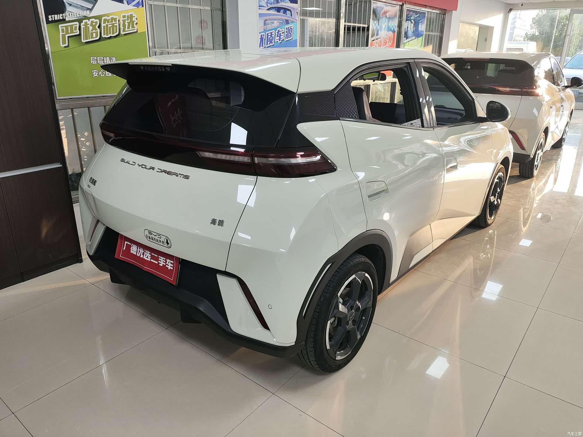 BYD Seagull, 2023 11