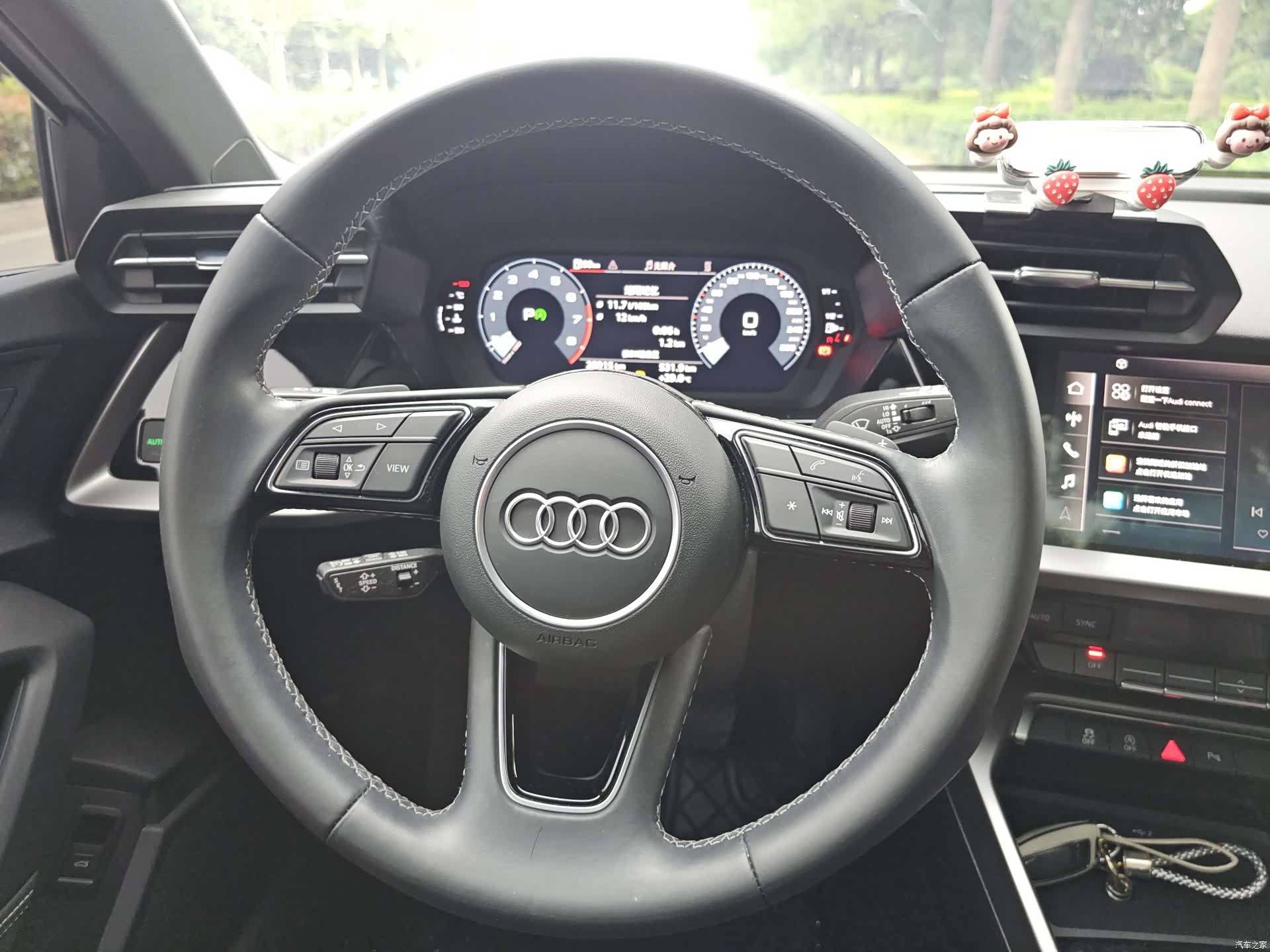 Audi A3, 2024 13