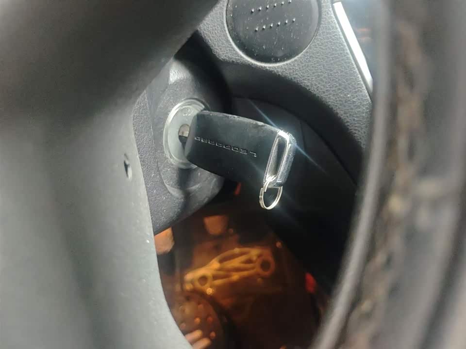 Leopaard Cheetah CS10