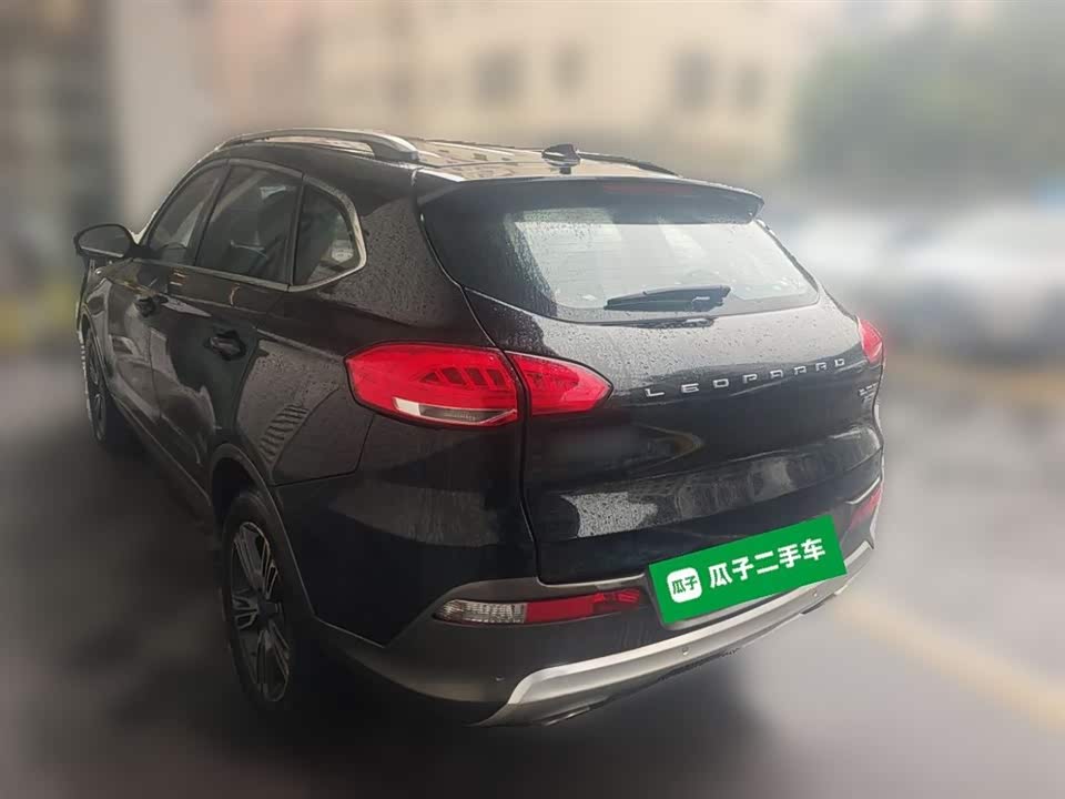 Leopaard Cheetah CS10