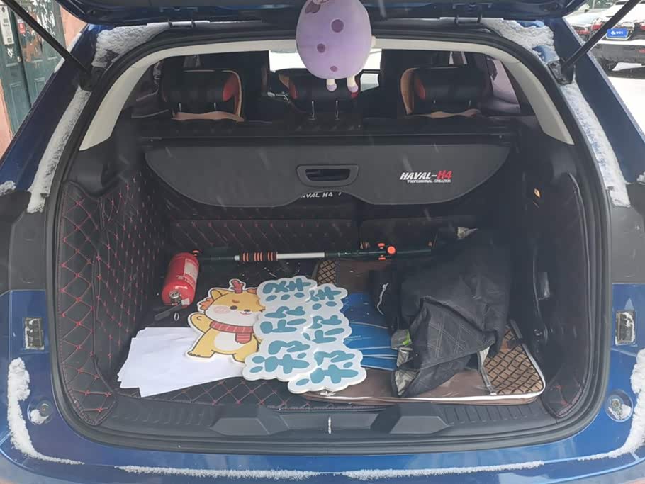 Haval H4