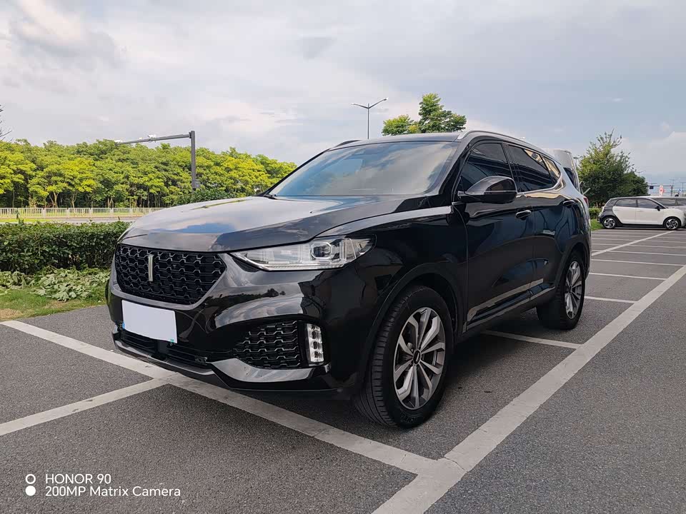 Weipai VV6 Weipai VV6