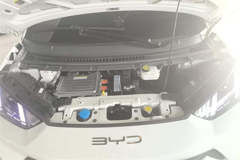 BYD Seagull, 2024 10