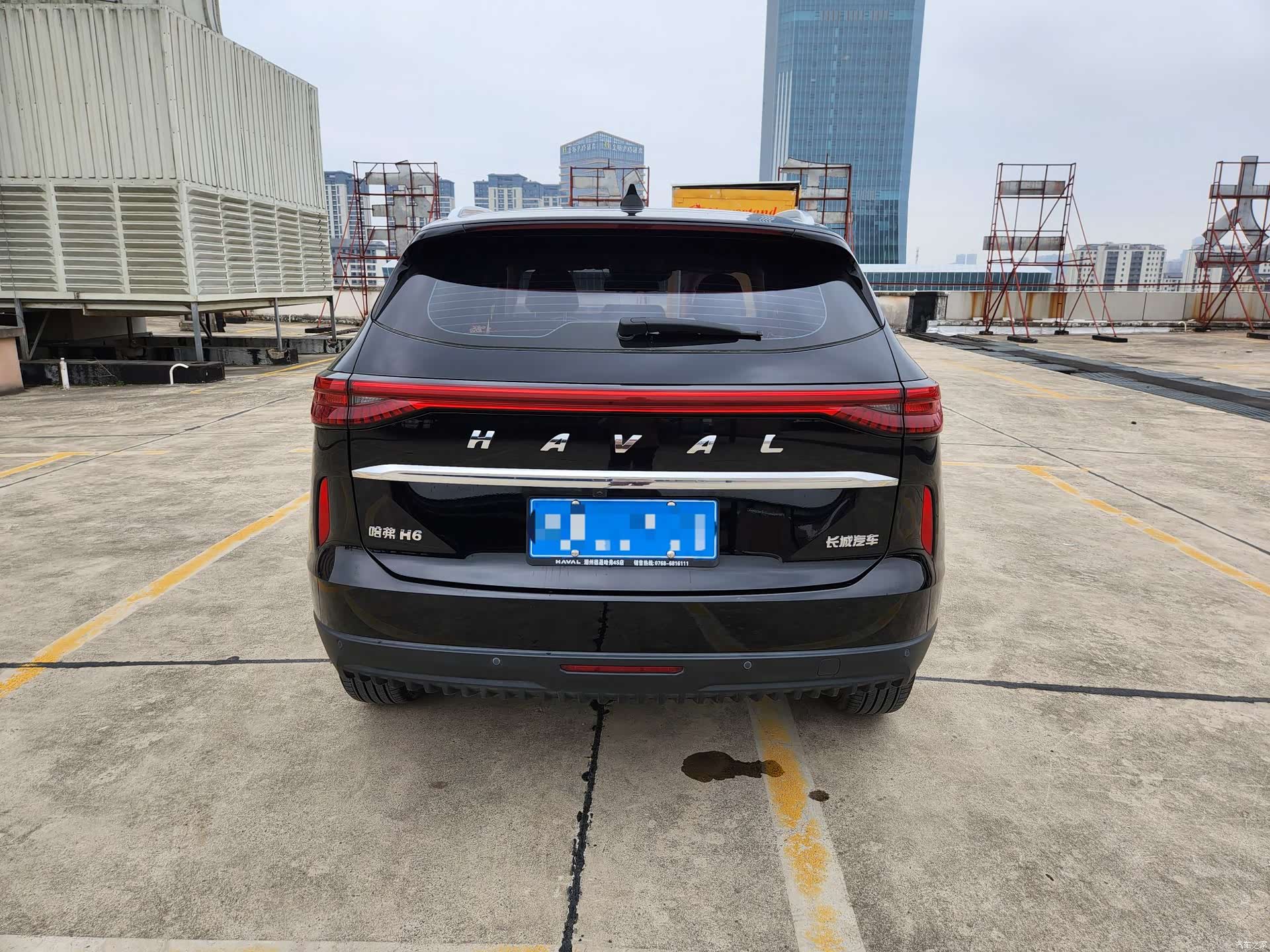 Haval H6, 2024 все фото