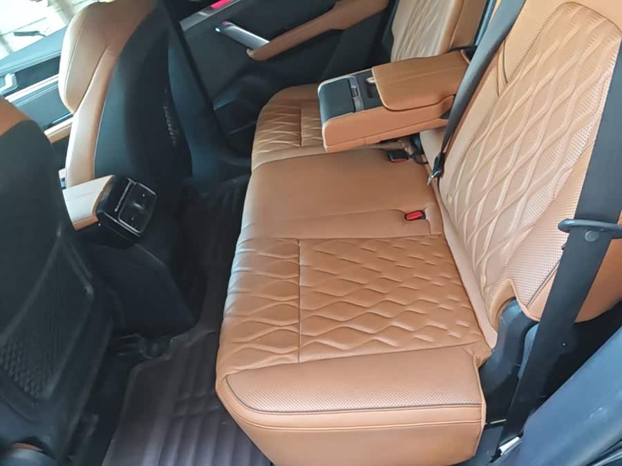 BYD Tang New Energy 2023, фото 16