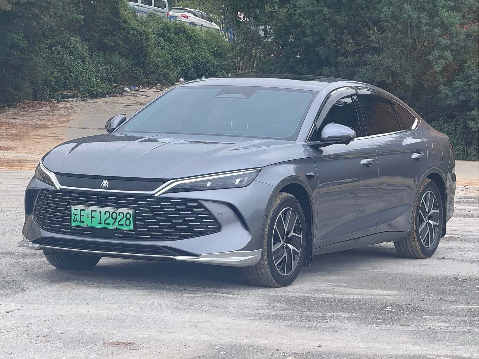 BYD Qin, 2025 1