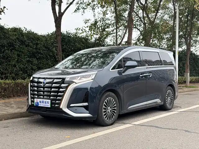 Denza D-9 2024 — купить из Китая под заказ