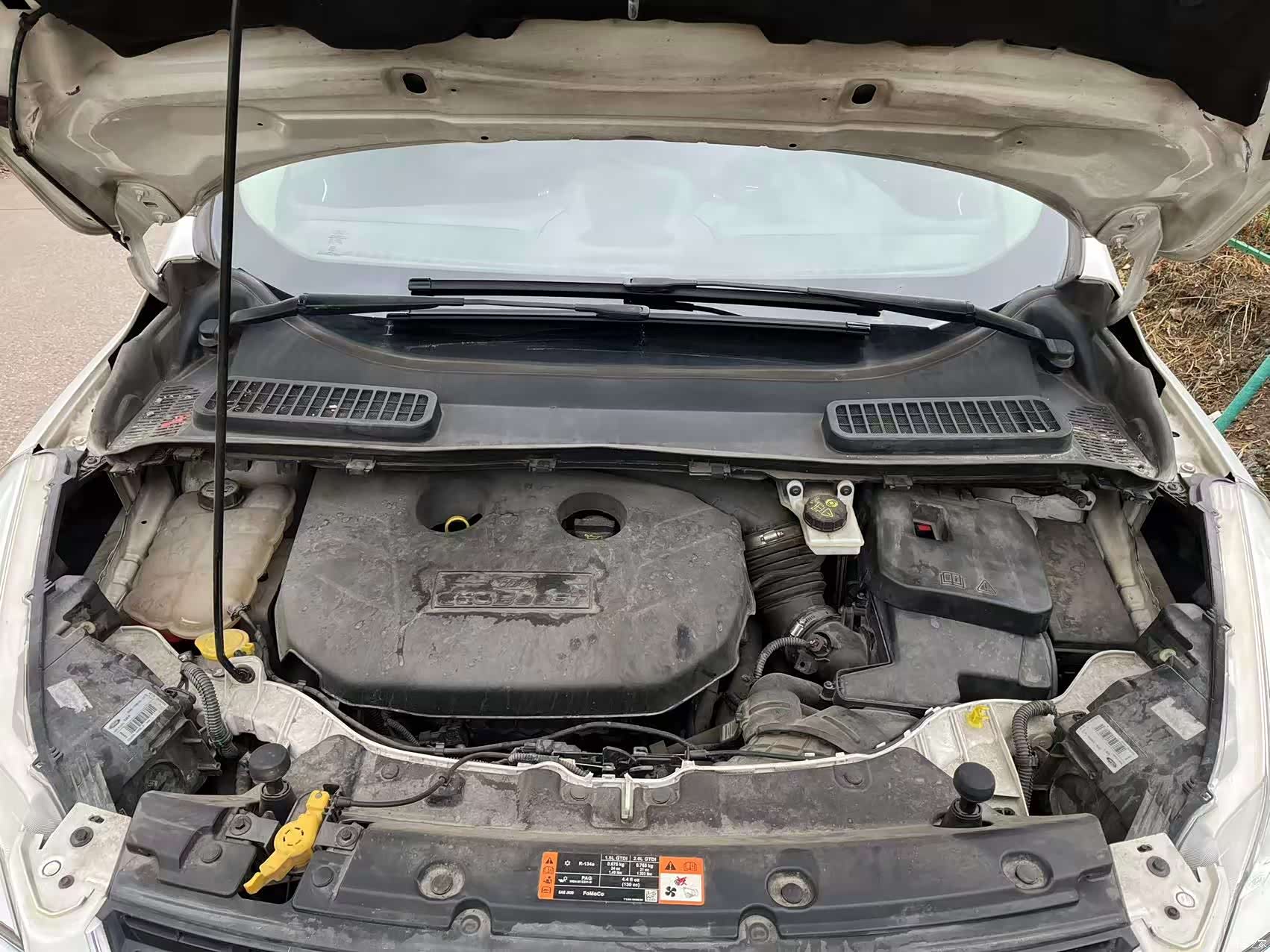 Ford Kuga, 2015 4
