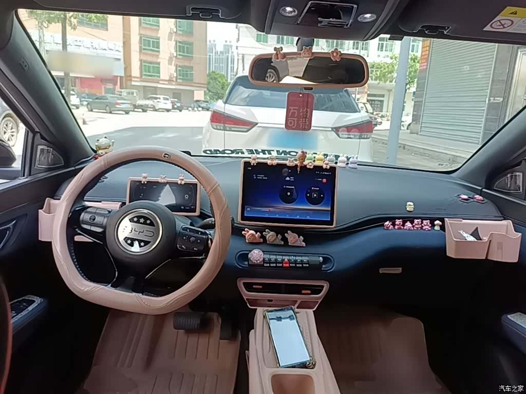 BYD Seagull, 2024 10