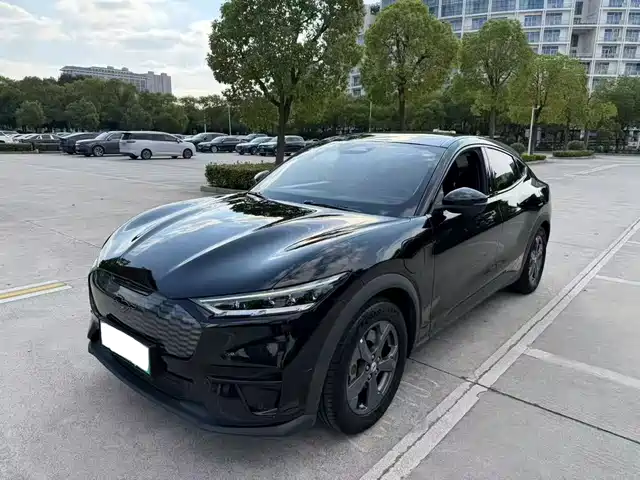 Ford Mustang Mach-E 2022 — купить из Китая под заказ