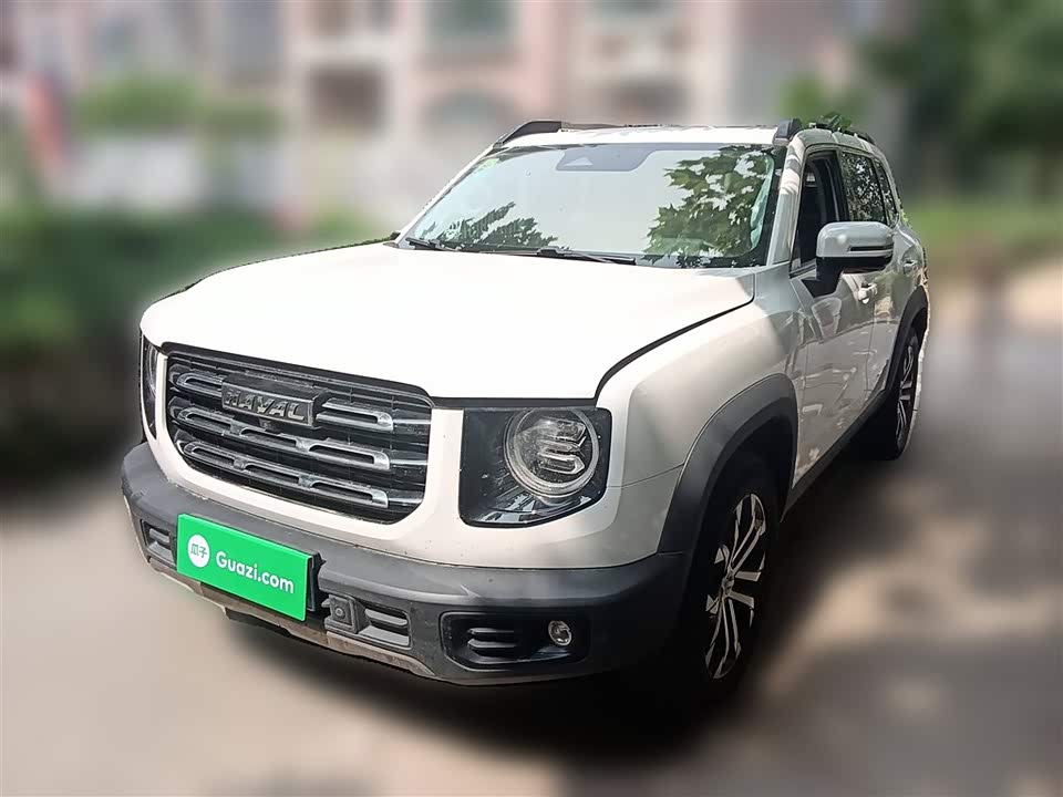 Haval Big dog