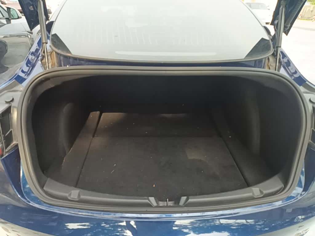Tesla Model 3, 2020 19