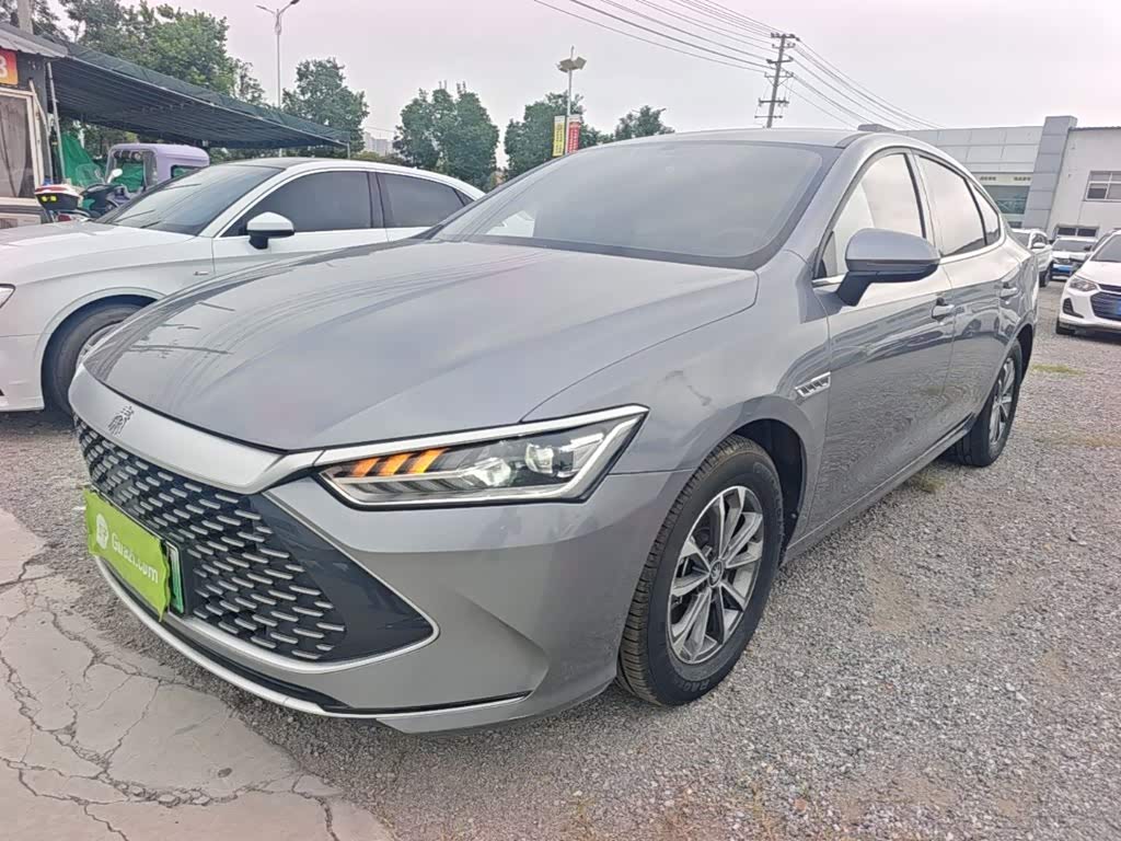 BYD Qin Plus PLUS 2024 DM-i 55KM Lead