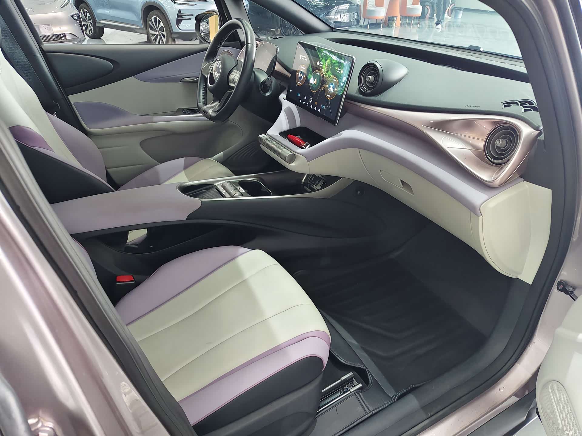 BYD Dolphin, 2022 12