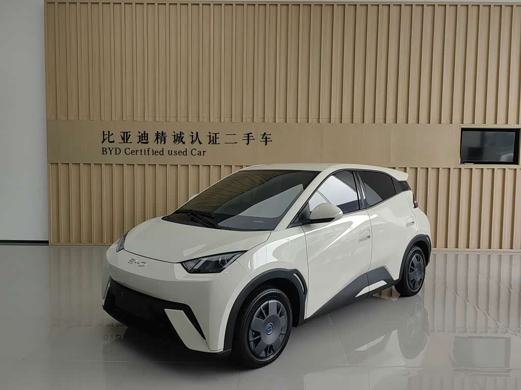 BYD Seagull 2025 305km