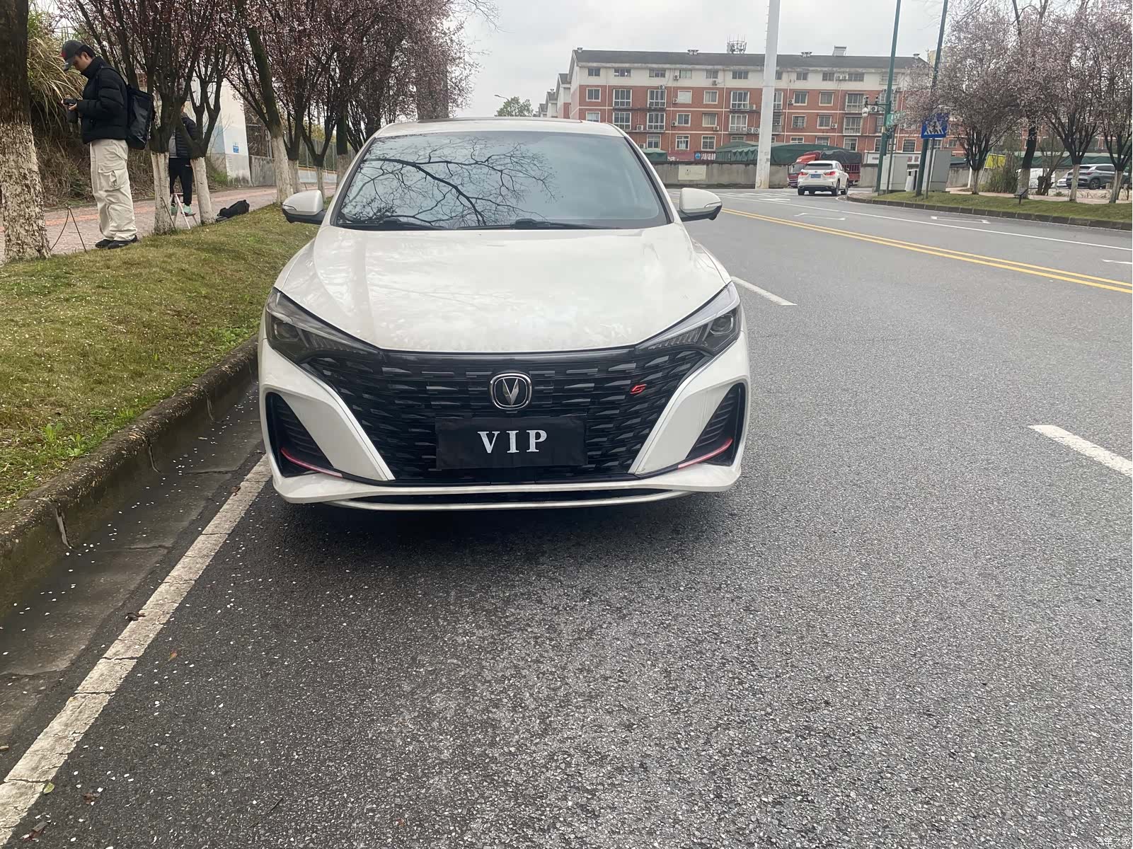 Changan Eado, 2021 2