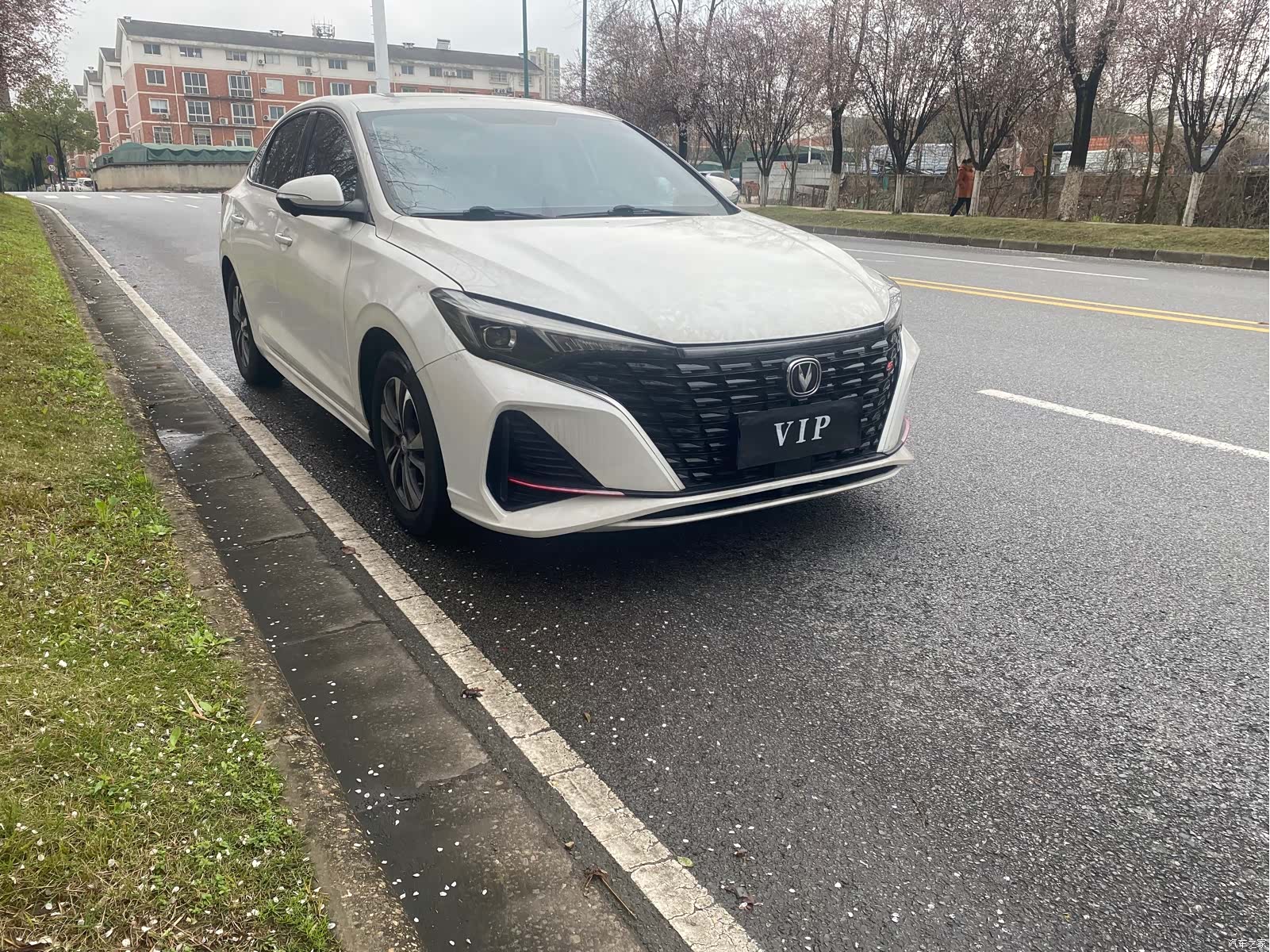Changan Eado, 2021 3