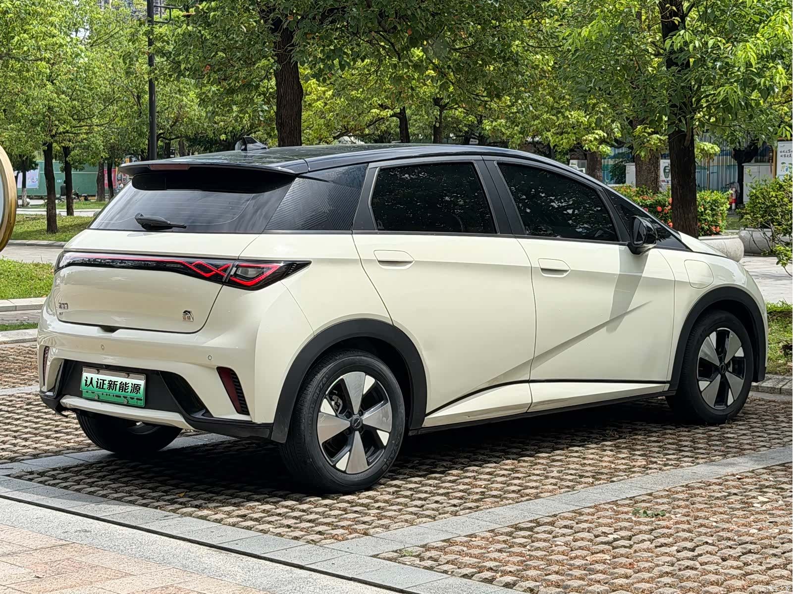 BYD Dolphin, 2024 13