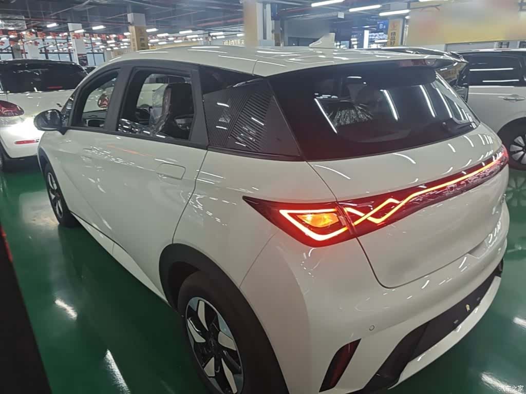 BYD Dolphin, 2026 все фото