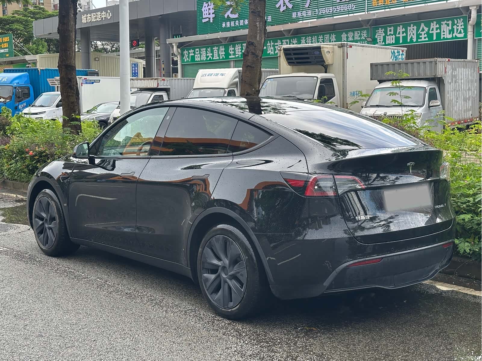 Tesla Model Y, 2024 все фото